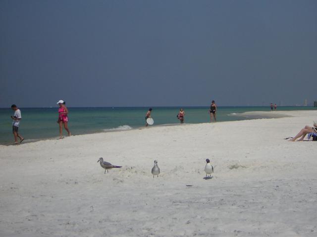 DSCN1597.jpg