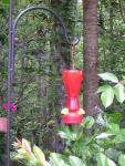 DSCN1608.jpg