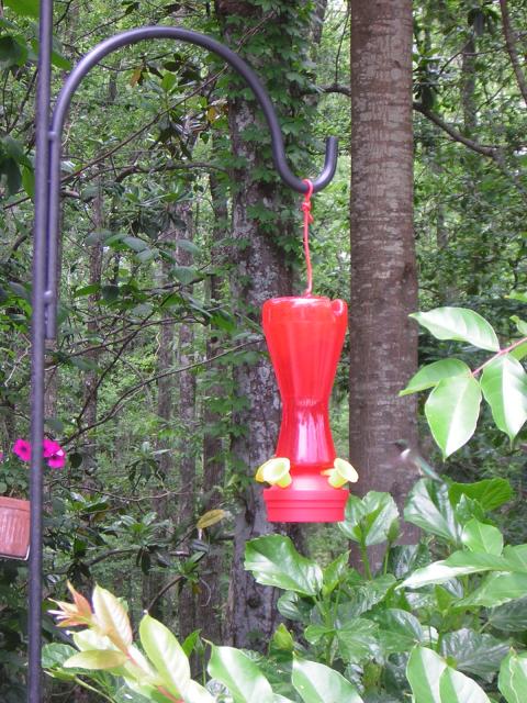 DSCN1608.jpg