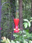 DSCN1610.jpg