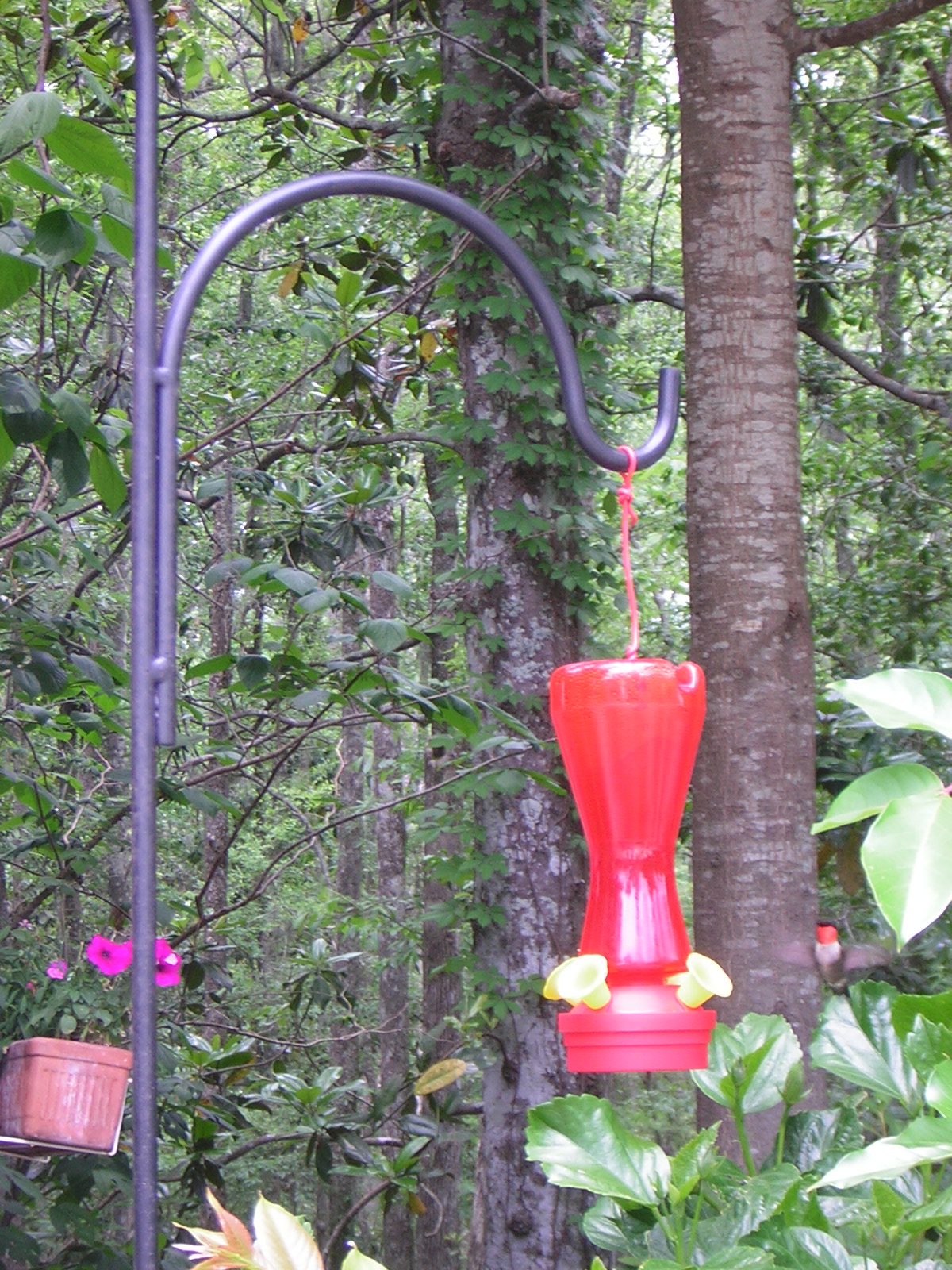DSCN1611.jpg