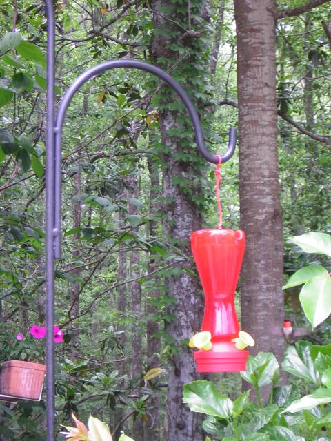 DSCN1611.jpg