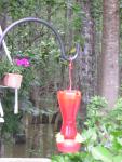 DSCN1614.jpg