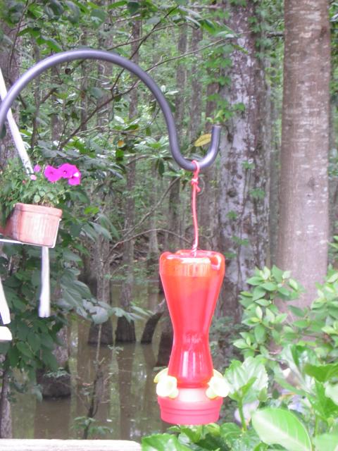 DSCN1614.jpg