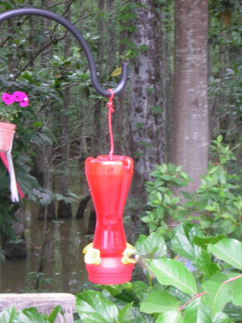 DSCN1615.jpg