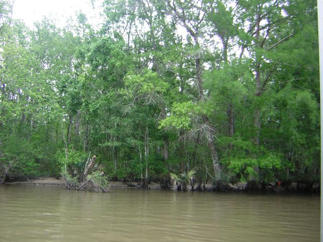 DSCN1618.jpg