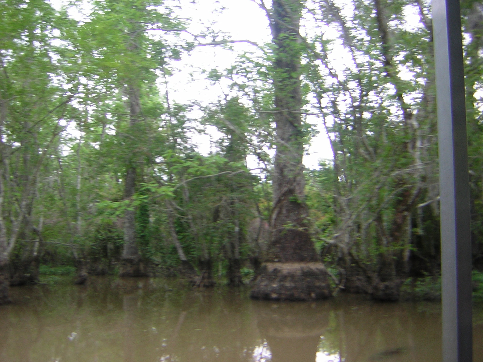 DSCN1619.jpg