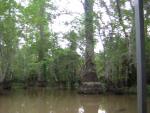 DSCN1619.jpg