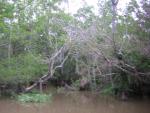 DSCN1620.jpg
