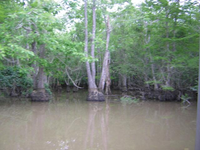 DSCN1621.jpg