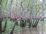DSCN1623.jpg
