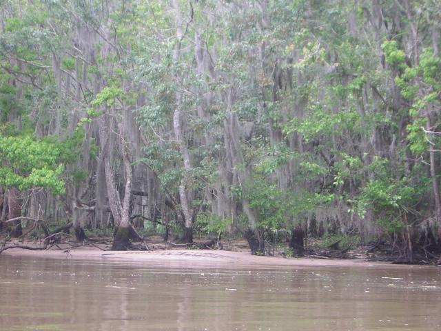 DSCN1625.jpg