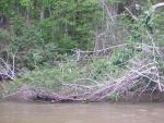 DSCN1627.jpg