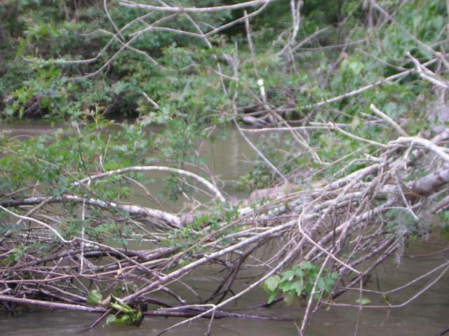 DSCN1628.jpg