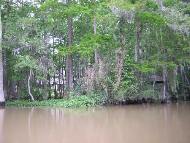 DSCN1631.jpg