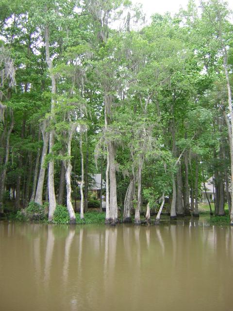 DSCN1632.jpg