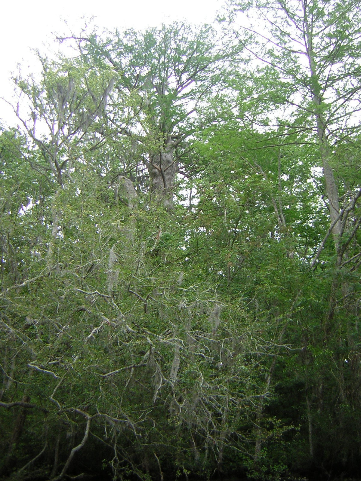 DSCN1633.jpg