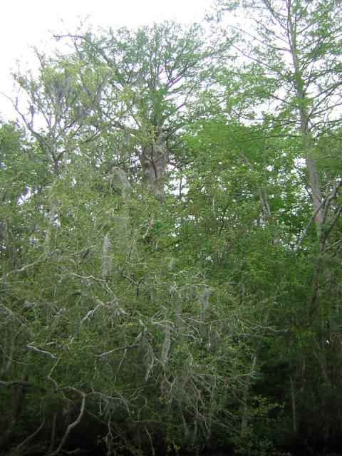 DSCN1633.jpg