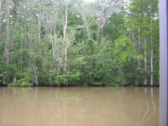 DSCN1635.jpg