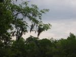 DSCN1636.jpg