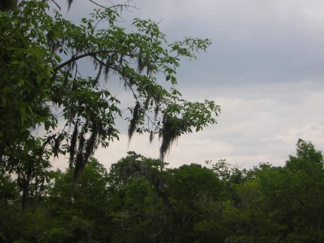 DSCN1636.jpg