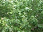 DSCN1637.jpg