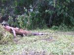 DSCN1638.jpg