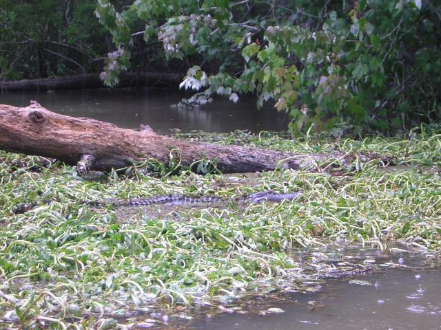 DSCN1639.jpg