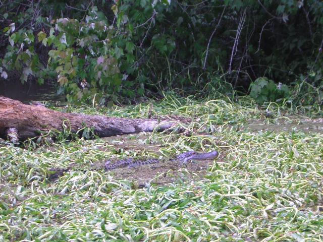 DSCN1640.jpg