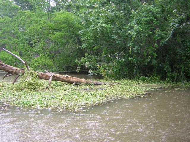 DSCN1641.jpg