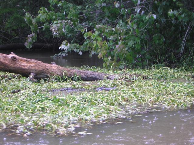 DSCN1642.jpg