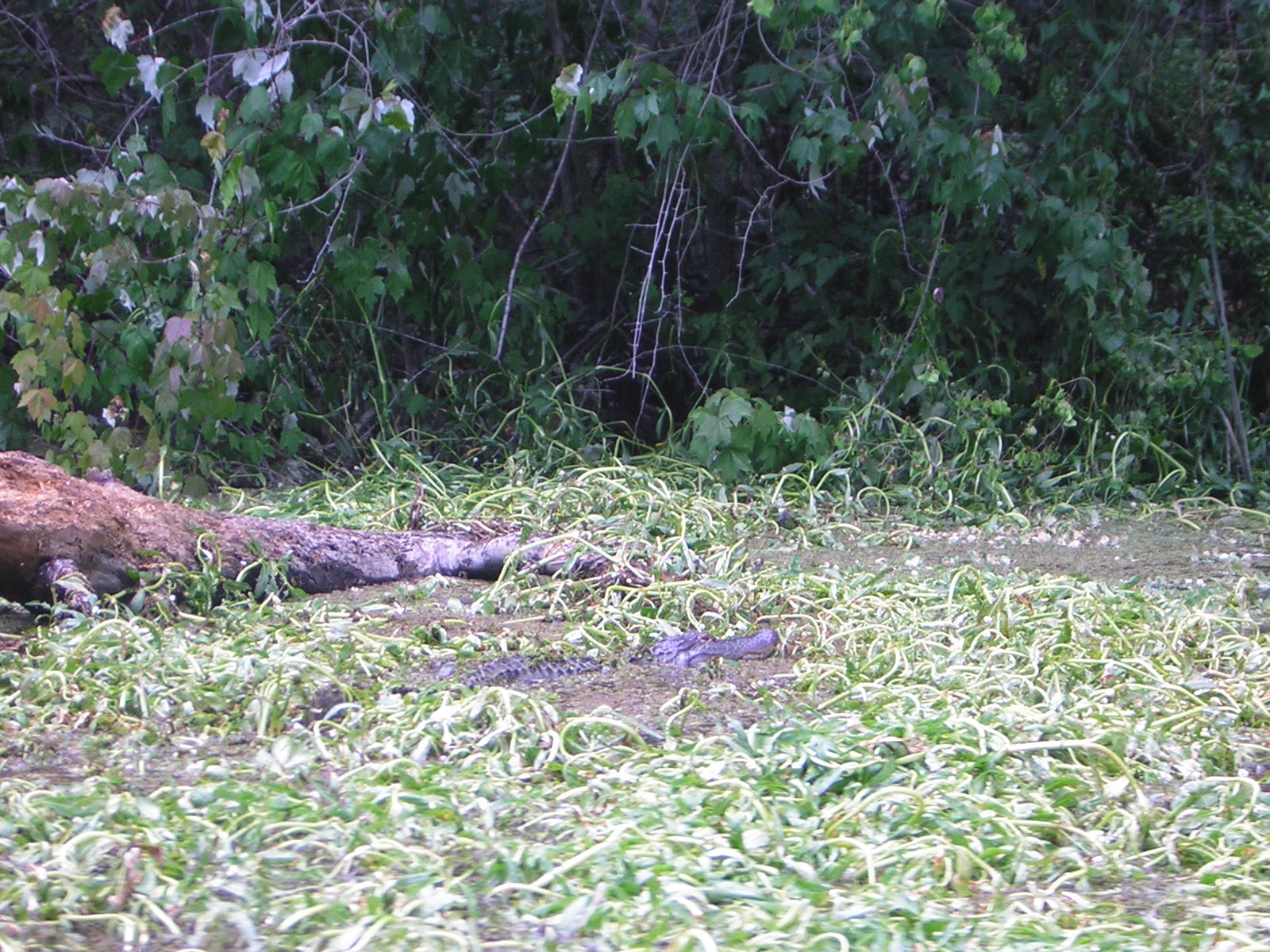 DSCN1643.jpg