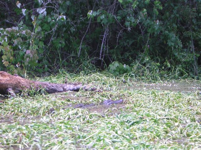 DSCN1643.jpg