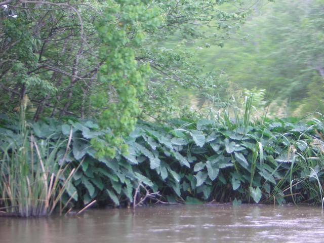 DSCN1644.jpg