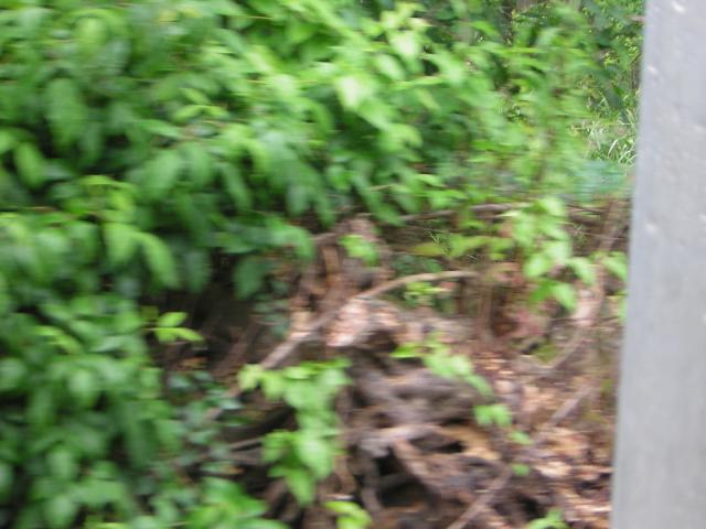 DSCN1646.jpg