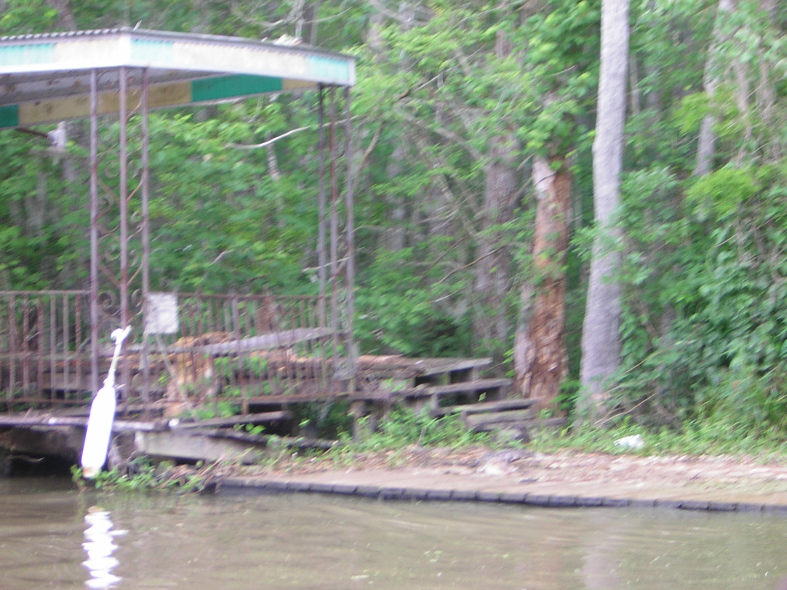 DSCN1647.jpg