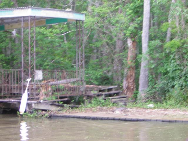 DSCN1647.jpg