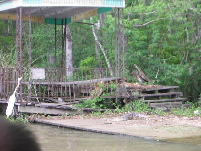 DSCN1649.jpg