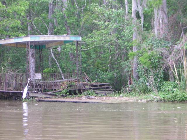 DSCN1650.jpg