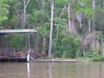 DSCN1651.jpg