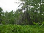 DSCN1652.jpg