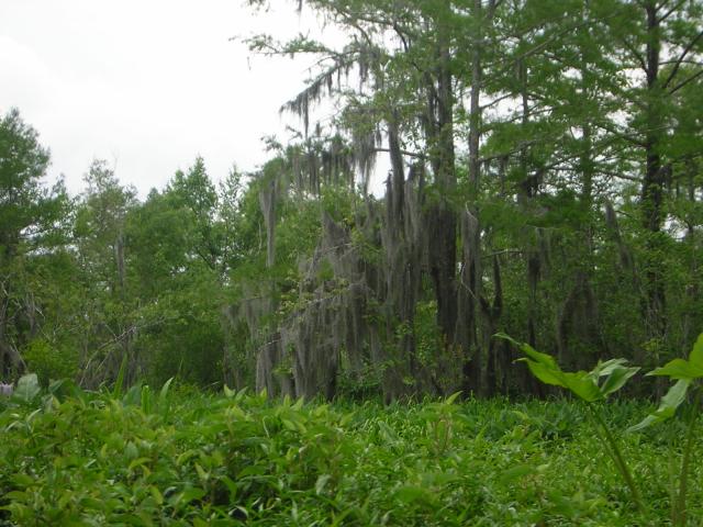 DSCN1652.jpg