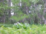 DSCN1653.jpg
