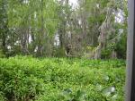 DSCN1654.jpg