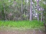 DSCN1655.jpg
