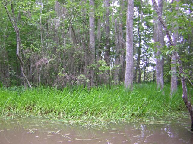 DSCN1655.jpg