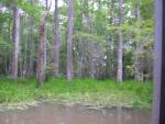 DSCN1656.jpg