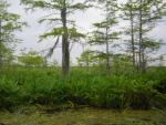 DSCN1658.jpg