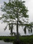 DSCN1659.jpg