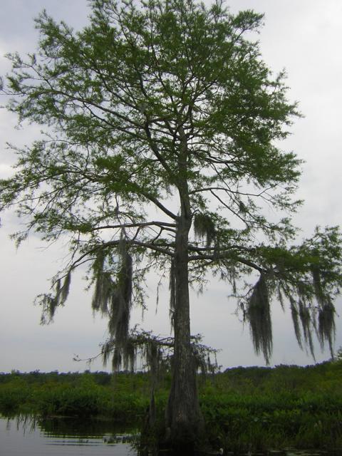 DSCN1659.jpg